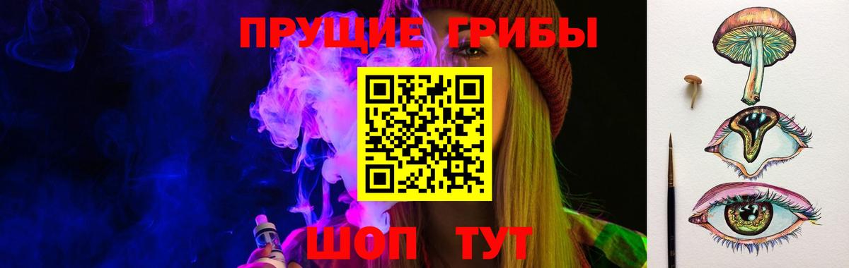 Галлюциногенные грибы Psilocybe Нефтекамск